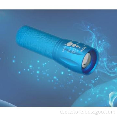 CREE Chip LED torch